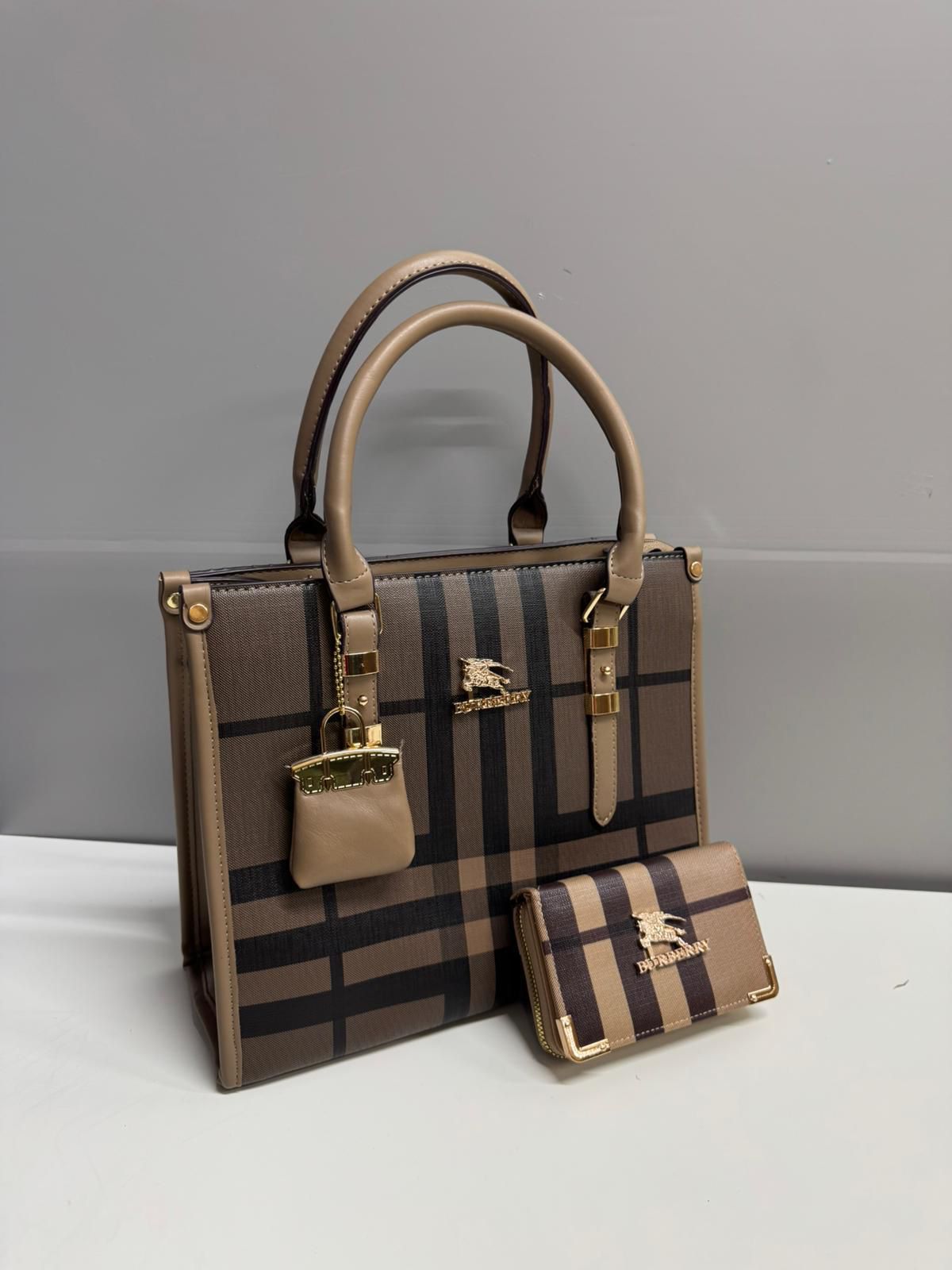 Ladies handbags and clutch set